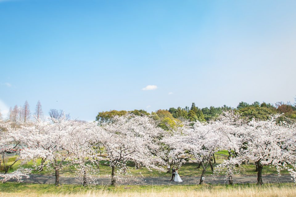 結婚式の前撮りはいつが最適なの 季節別 おすすめカットをご紹介 でら婚