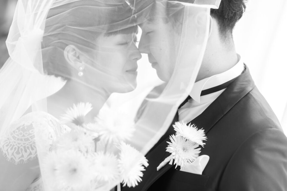 プランの関連画像が入ります